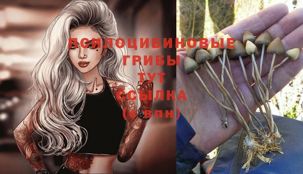 mdpv Бронницы