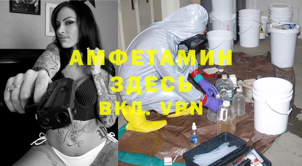 сатива Верхний Тагил