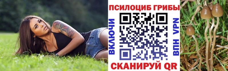 купить наркотики цена Голицыно Галлюциногенные грибы Magic Shrooms